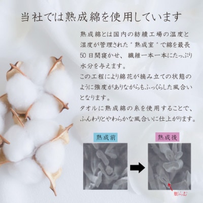 泉州タオル「ガーゼのフェイスタオル」6枚セット 010B018