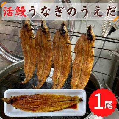 【1尾】活鰻　おいしいうな丼が作れる国産うなぎ蒲焼1本(タレ1ヶ入)【配送不可地域：離島】