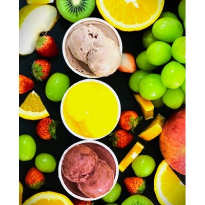 贈答用フルーツで作った季節のジェラート詰め合わせ【9個入り】【配送不可地域：離島】