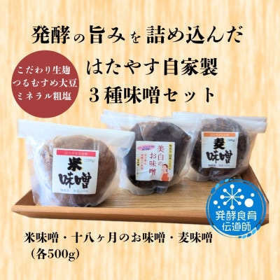 発酵食育伝道師の三種の味噌セット【配送不可地域：離島】