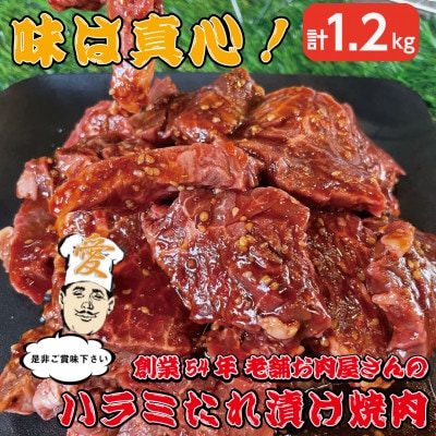 《約1.2kg》当店注文率No.1のハラミたれ漬け焼肉(甘口しょうゆ味)　ホットプレート派に人気【配送不可地域：離島】