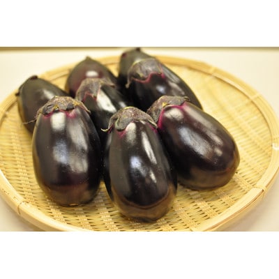 (6個入り)福田農園　泉州水なす(生)【配送不可地域：離島】