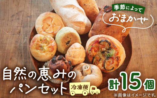 【15個入り】パン屋kotubuの自然の恵みのパンセット(大)【配送不可地域：離島】