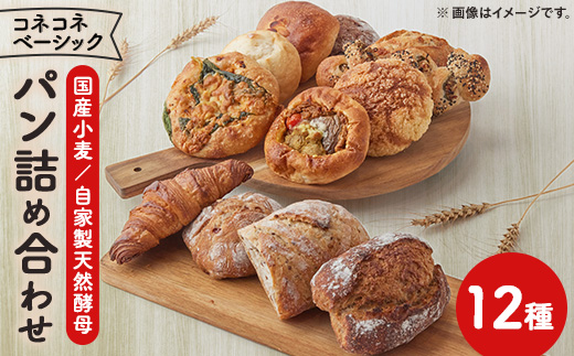 【冷凍】コネコネベーシックパンセット【12種詰め合わせセット】【配送不可地域：離島】
