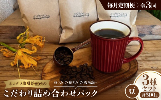 【毎月定期便】《豆3種計300g》ネコグラ珈琲焙煎所の煎りたて挽きたてコーヒーセット全3回