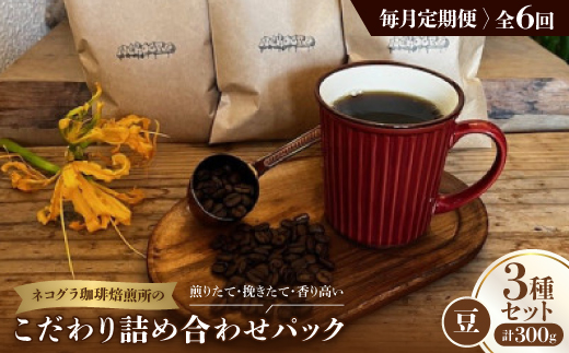 【毎月定期便】《豆3種計300g》ネコグラ珈琲焙煎所の煎りたて挽きたてコーヒーセット全6回