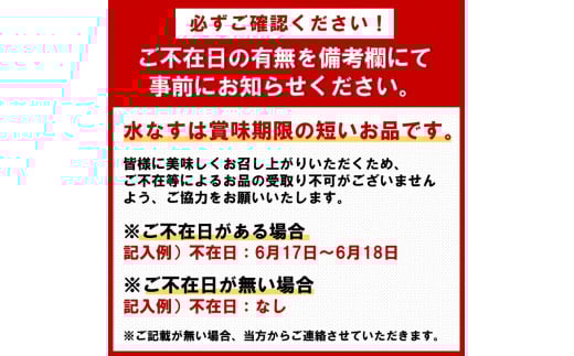 泉州名物 水なす浅漬け 6個 ※お届け不可地域あり【014E-002】