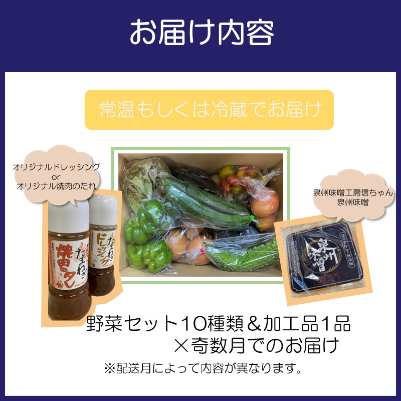サザンぴあ 野菜10品＆加工品1品セット 奇数月定期便【015A-003】