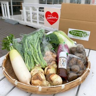 地元野菜の美味 いろどり野菜セット 100サイズ箱 ドレッシング付 ※お届け不可地域あり【015D-012】