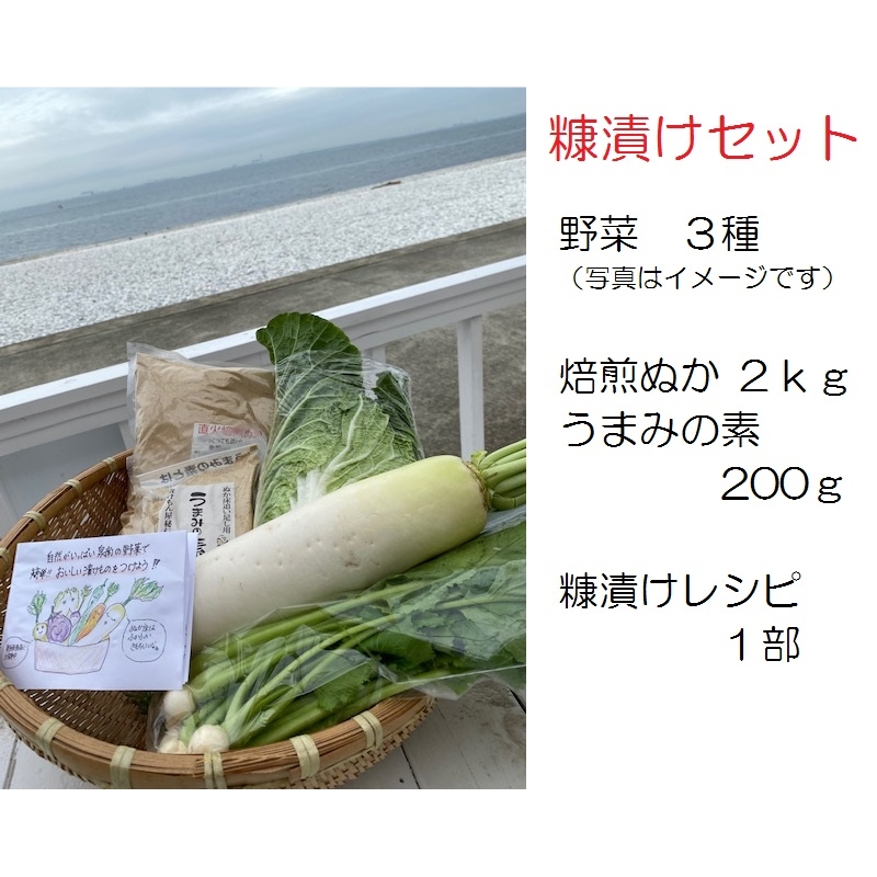 野菜がおいしく漬かる糠漬けセット 100サイズ箱 ※お届け不可地域あり【015E-010】