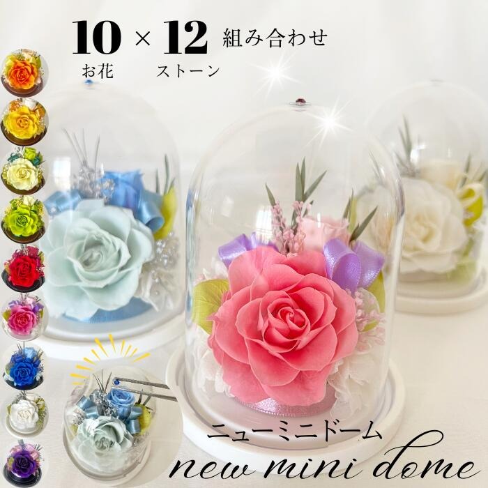 ニューミニドーム プリザーブドフラワー アレンジメント【023D-015】