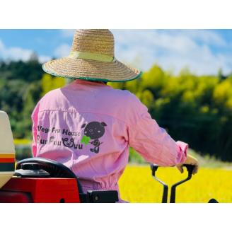 農業姉妹がこだわって栽培！玄米5kg1年定期便【024A-016】