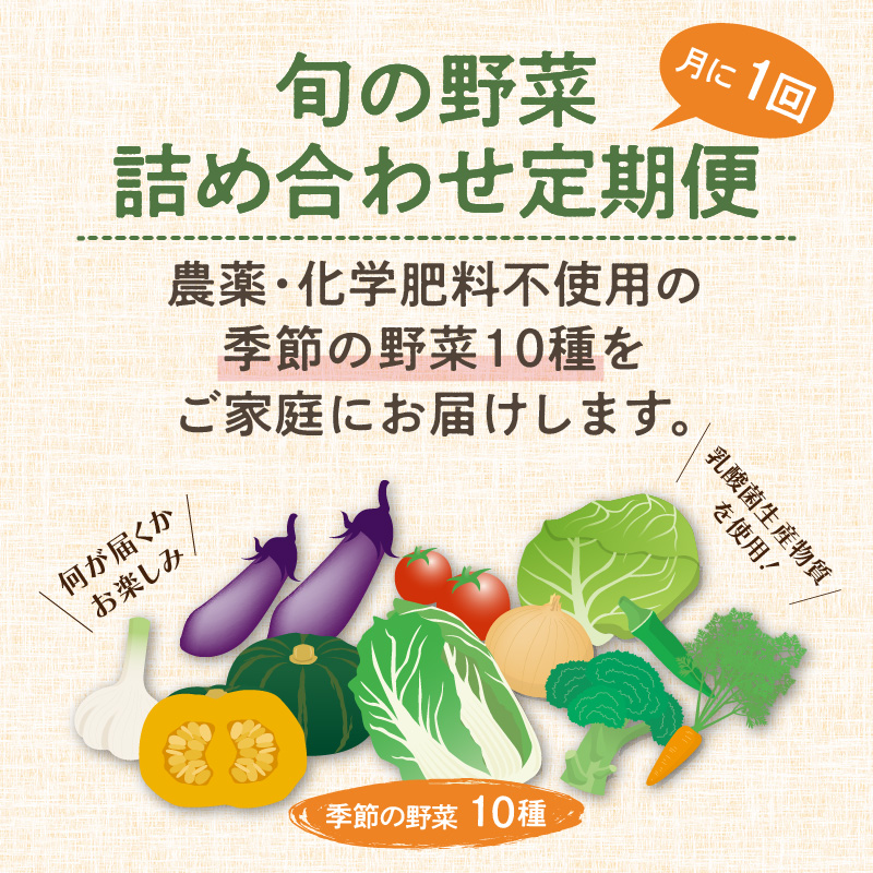 農業姉妹がこだわって栽培！旬の厳選野菜10種 半年定期便【024A-017】