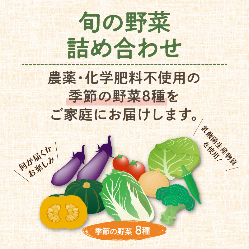 農業姉妹がこだわって栽培！旬の野菜詰め合わせ8種 1年定期便【024A-019】