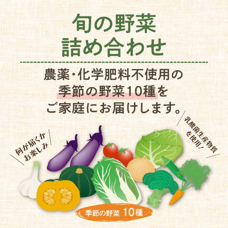 農業姉妹がこだわって栽培！旬の厳選野菜10種【024D-012】