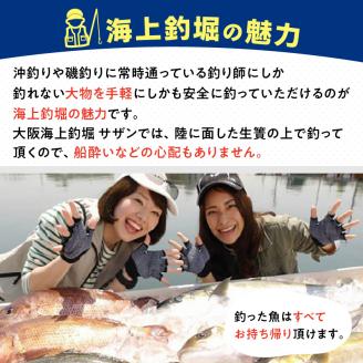 【泉南・樽井漁港】 釣掘りサザン 一基貸切利用券 12名様まで【044A-001】