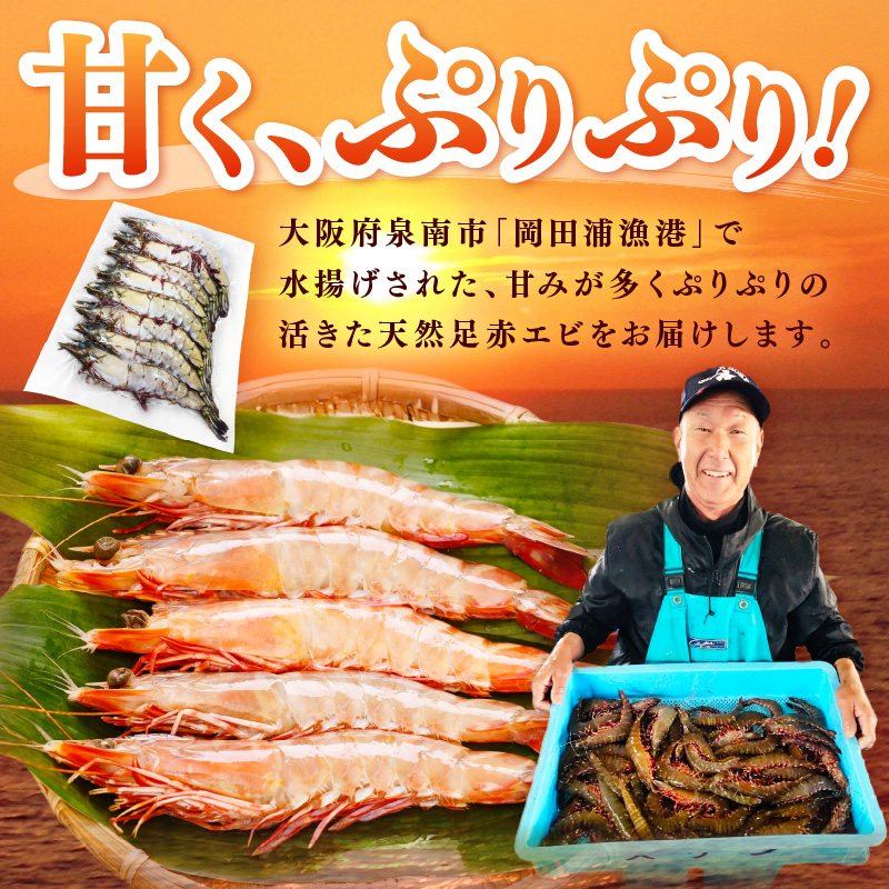 大阪府泉南市産 天然足赤エビ 600g【058D-007】
