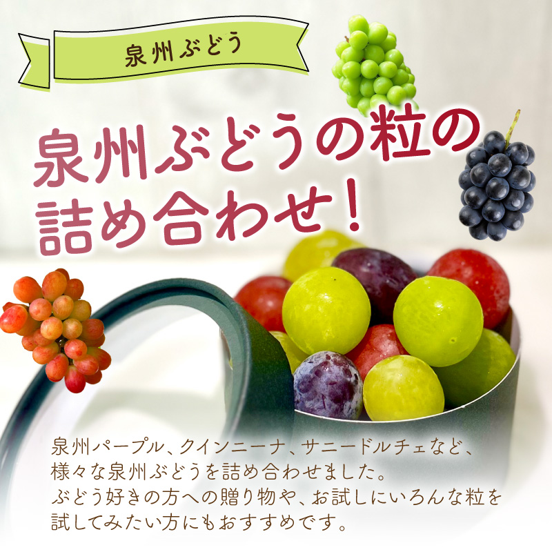 泉州ぶどう【彩り粒ギフト】色とりどりのぶどうのギフト ー彩珠ー【065D-022】