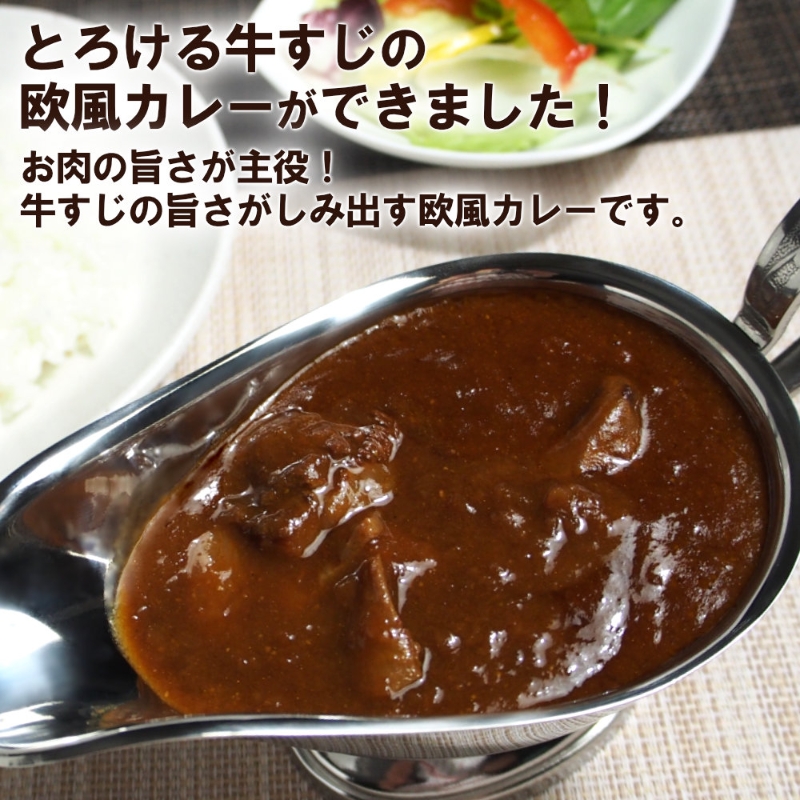 とろ旨欧風牛すじカレー（200g×8パック） ※お届け不可地域あり【069D-011】