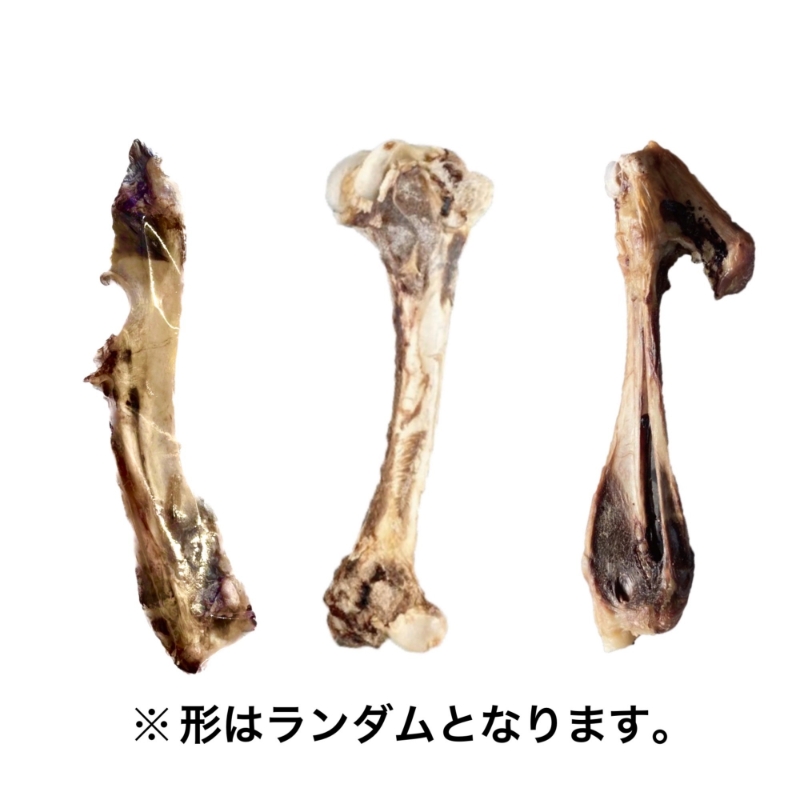 ペットフード研究所 国産無添加 猪骨セット 2個セット(各1個)肩甲骨・足骨【087E-014】