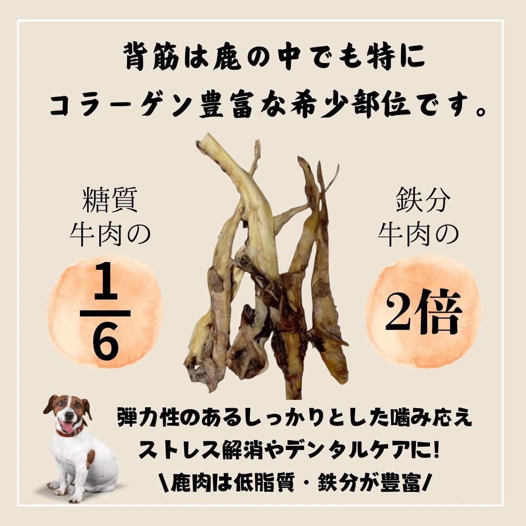 ペットフード研究所 国産無添加 鹿スジジャーキー50g【087E-019】