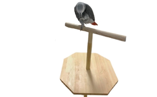 手作り 木製 とまり木【007C-097】