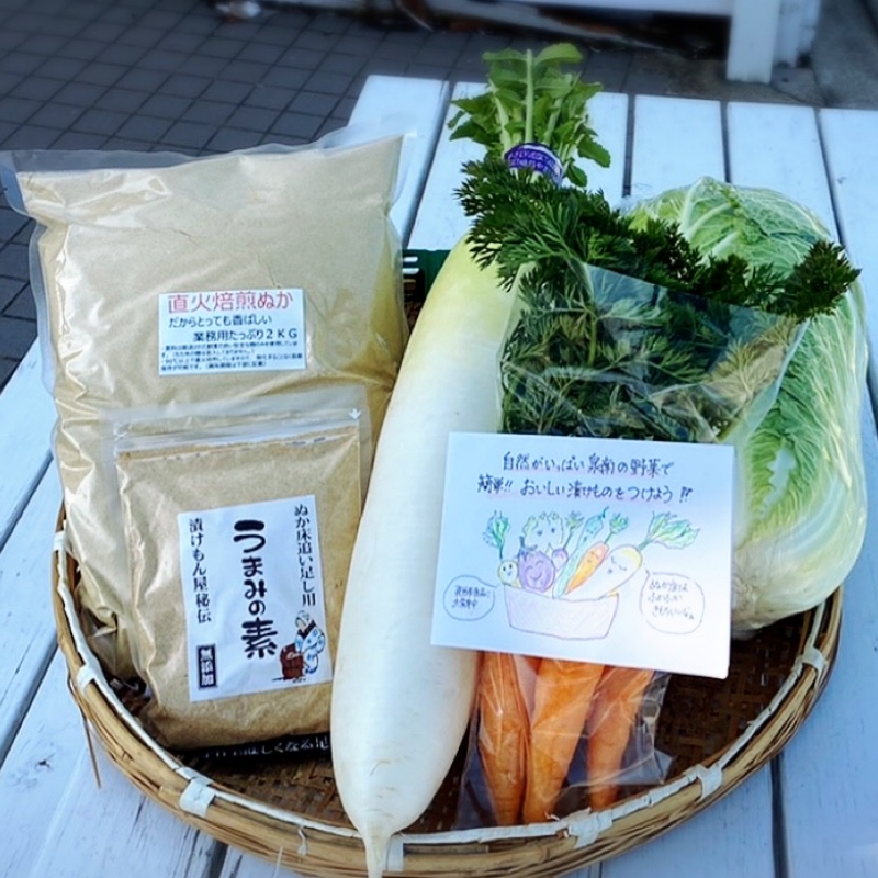 野菜がおいしく漬かる糠漬けセット 100サイズ箱 ※お届け不可地域あり【015E-010】