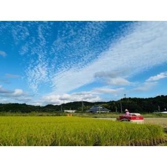 農業姉妹がこだわって栽培！玄米5kg1年定期便【024A-016】