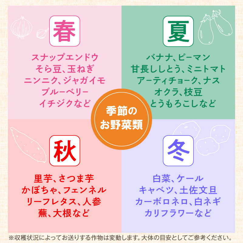 農業姉妹がこだわって栽培！旬の厳選野菜10種【024D-012】