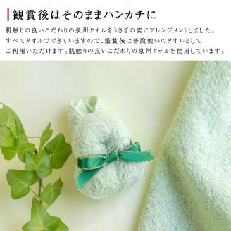 【泉州タオル】カラフルミニうさぎ5体セット【033D-007】