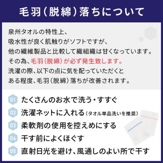 吸水力と肌触りが自慢のデイリーユースバスタオル スカイブルー・クラシックブルー 4枚※お届け不可地域あり【039D-253】