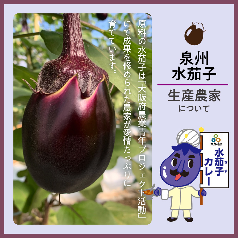 大阪産（おおさかもん）泉州水なすカレー 8箱【御守つき】【041D-010】