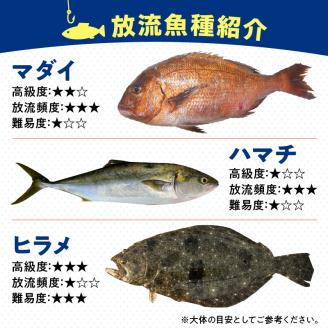 【泉南・樽井漁港】 釣掘りサザン 一基貸切利用券 12名様まで【044A-001】