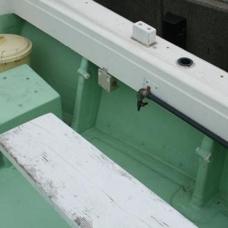 【泉南・樽井漁港】 釣り船 石定丸 乗合船 1名様【048D-001】