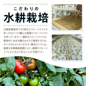 大阪泉州育ち あま味とまと 1kg【051D-006】