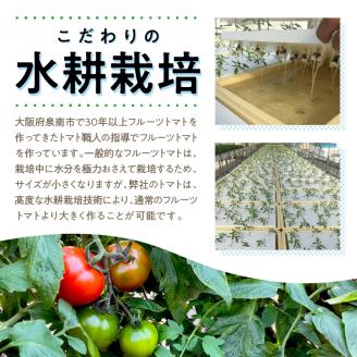 大阪泉州育ち フルーツトマト 2kg【051D-010】