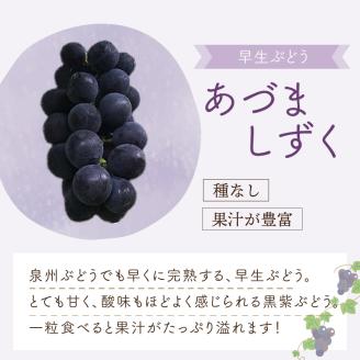 泉州ぶどう あづましずく 2房【065D-012】