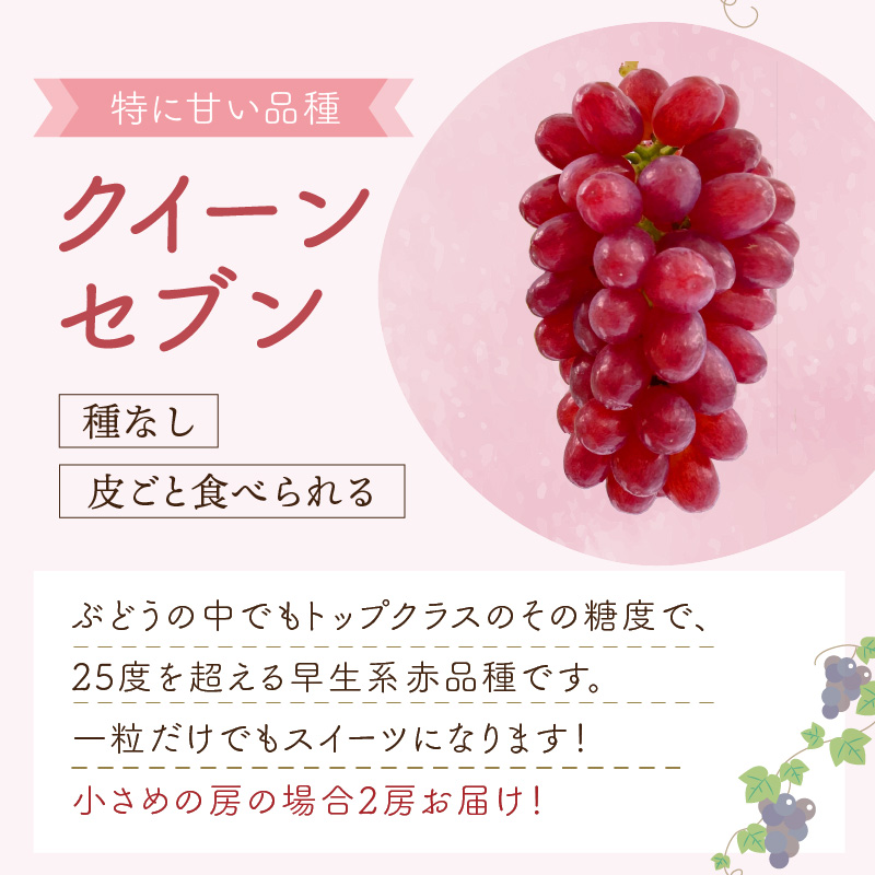 泉州ぶどう あづましずくとクイーンセブンの彩りセット【065D-017】