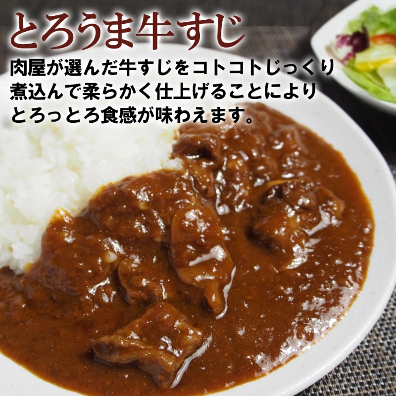 とろ旨欧風牛すじカレー（200g×20パック） ※お届け不可地域あり【069C-001】