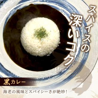 濃厚海老出汁 海老元カレー【白・黒・赤】（甘口・中辛・辛口）6個セット【078D-008】