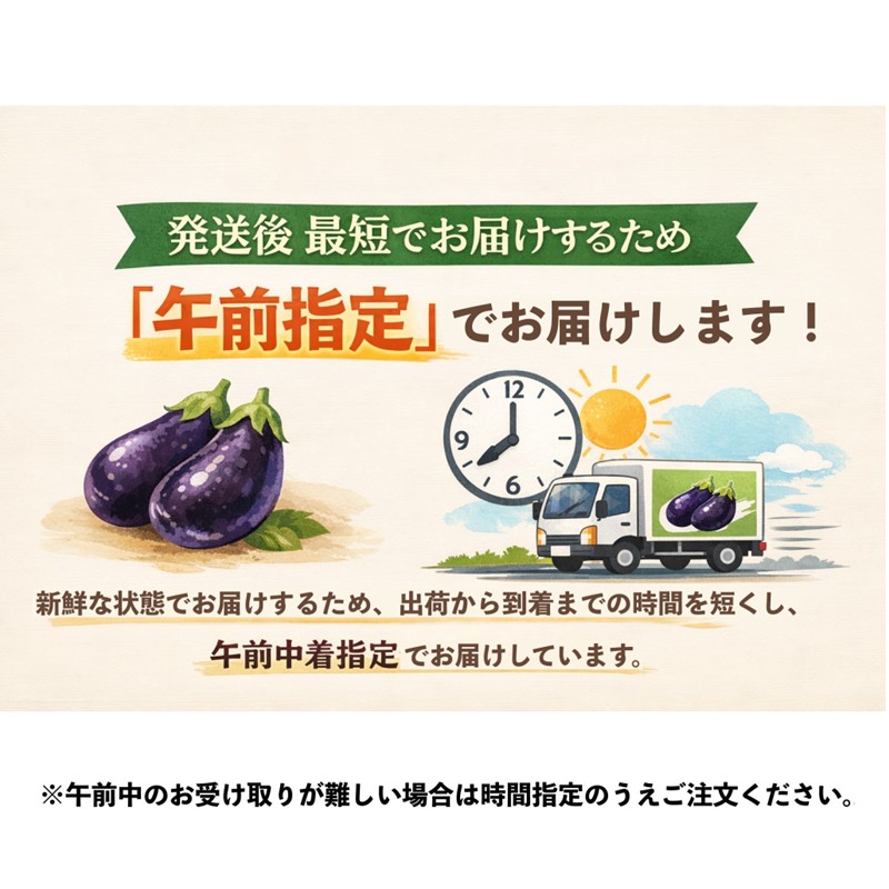 まるやま農園 泉州水なす ぬか漬け 4個入【087D-001】