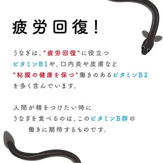 ペットフード研究所 鰻頭 500g【087D-016】