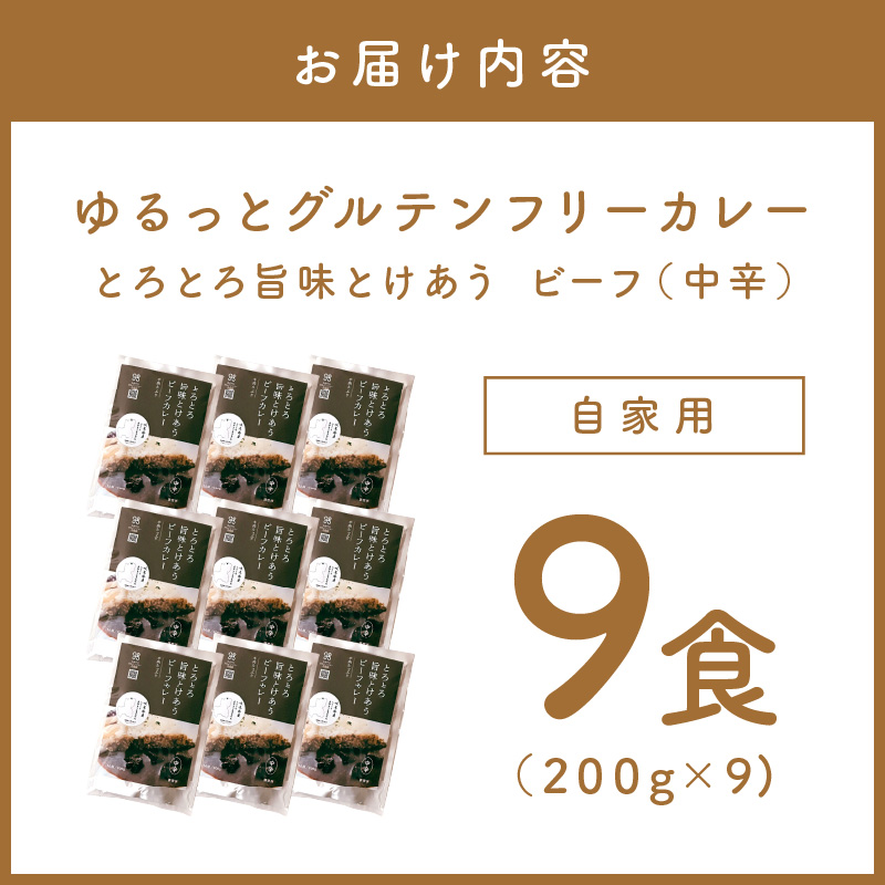 【自家用 化粧箱なし】ゆるっとグルテンフリー とろとろ旨味とけあうビーフカレー（中辛）9食セット【092D-013】