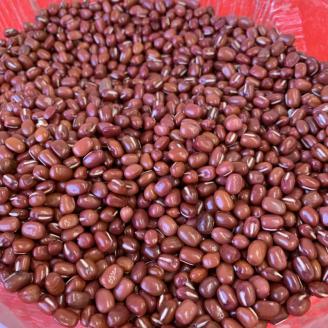 泉州名物 小豆しぐれ ・ 栗しぐれ 詰め合わせ【004D-019】