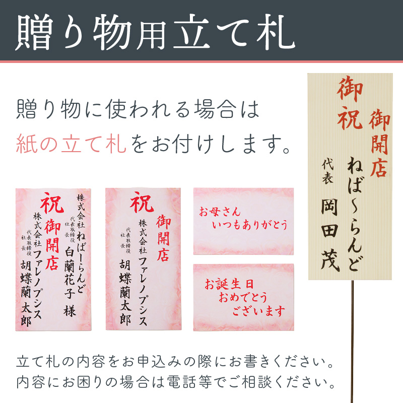 アレンジミディ胡蝶蘭 2本立 ※お届け不可地域あり【008C-008】