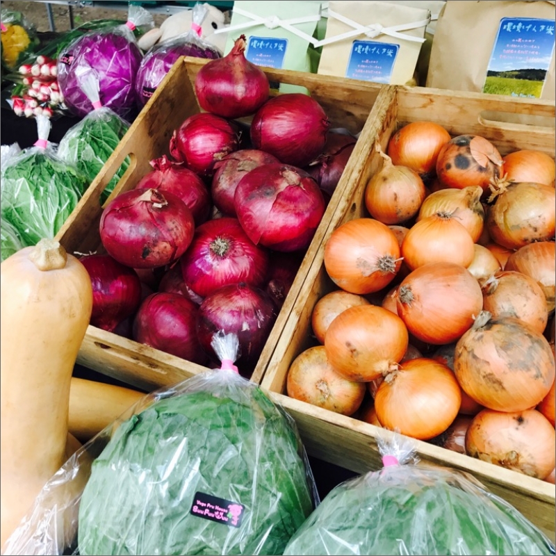 農業姉妹がこだわって栽培！旬の野菜詰め合わせ8種 1年定期便【024A-019】