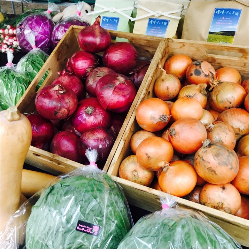 農業姉妹がこだわって栽培！ 白米5kgと旬の野菜詰め合わせ8種 1年定期便【024A-029】