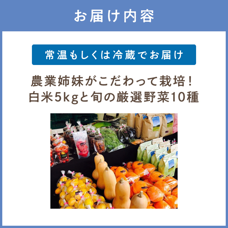 農業姉妹がこだわって栽培！白米5kgと旬の厳選野菜10種【024C-001】