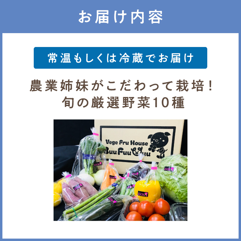 農業姉妹がこだわって栽培！旬の厳選野菜10種【024D-012】