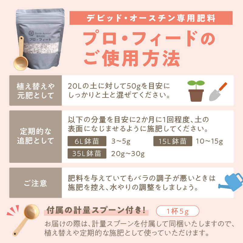 【イングリッシュローズ】 デビッド・オースチン バラ鉢苗 （バラ専用肥料付）【品種指定不可】【025D-003】